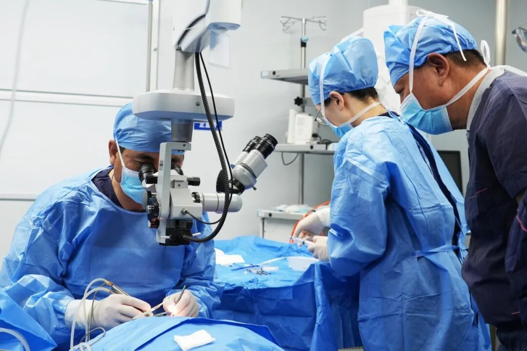 17762141098386.png 17762141098386.png